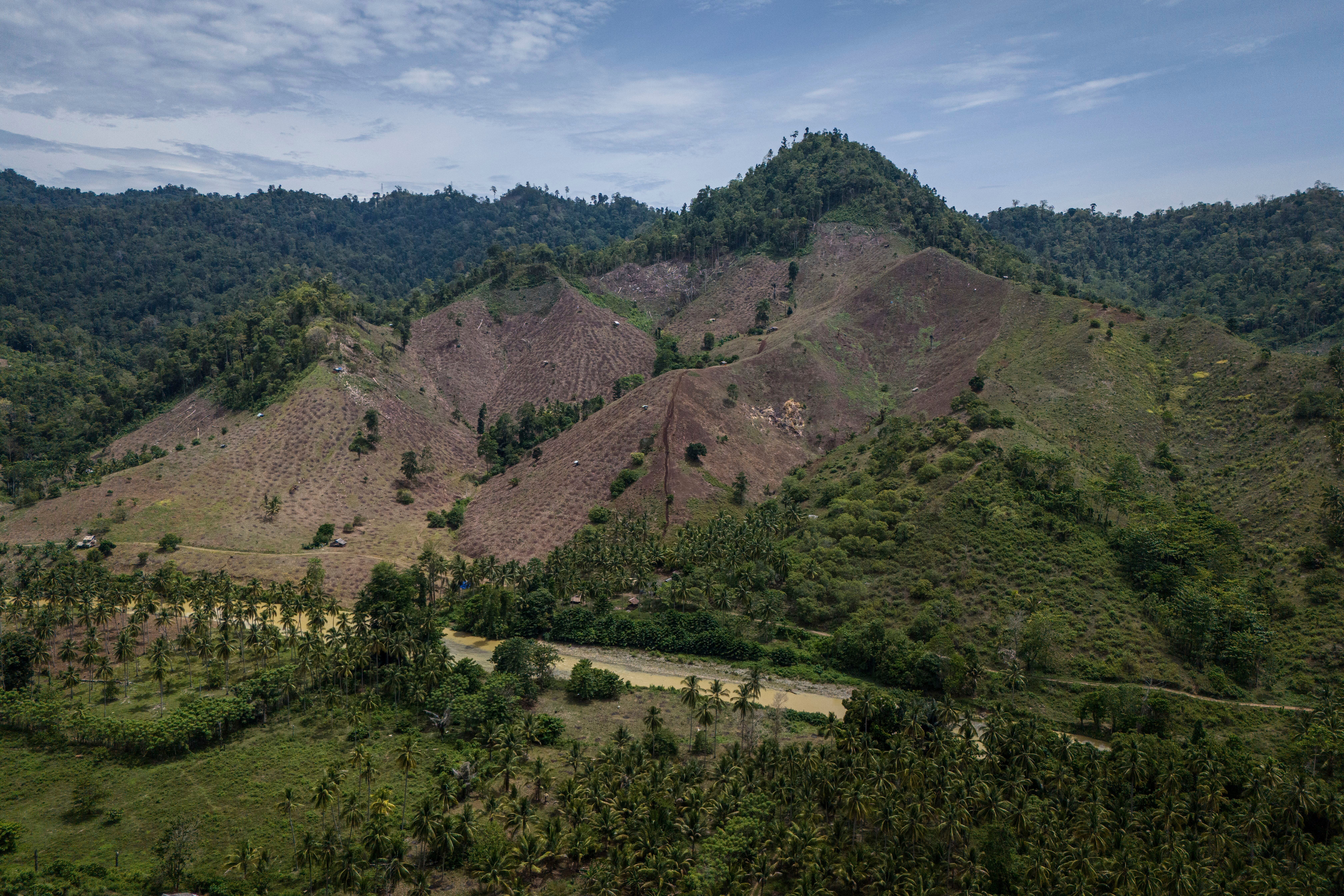 Indonesia Deforestation Biomass