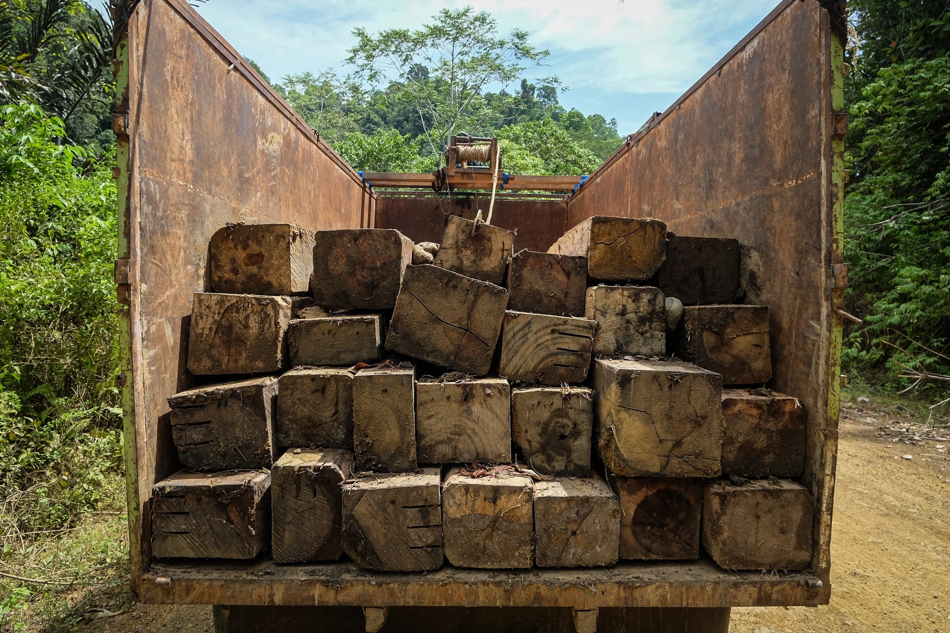 Indonesia Deforestation Biomass