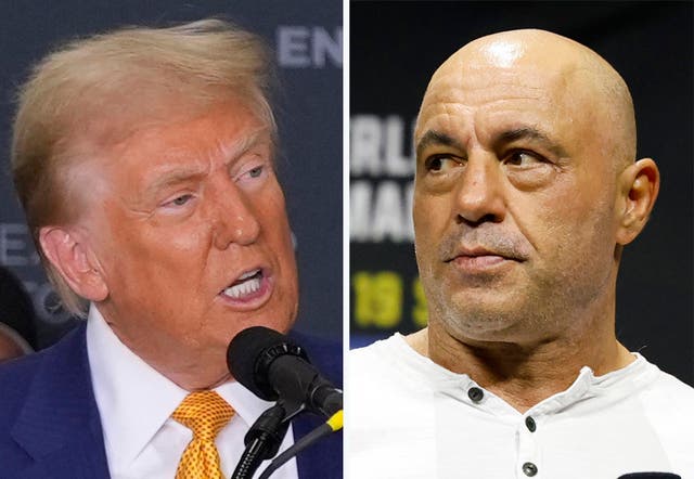 <p>Trump leaned heavily on non-traditional media figures like Joe Rogan with large male followings during his 2024 race  </p>