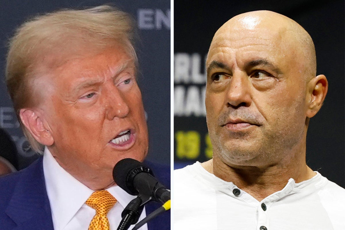 Even Joe Rogan is blasting Trump’s ICE raids: ‘It’s insane’