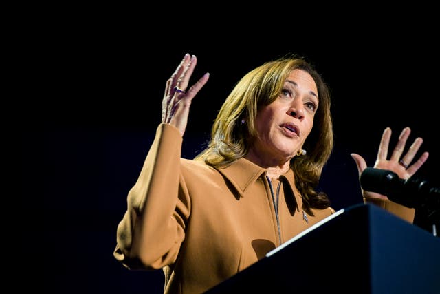 <p>Vice President Kamala Harris speaks during a campaign rally at the Wings Event Center on October 26 in Kalamazoo, Michigan. A new poll shows her neck and neck with Donald Trump in how independent votes. Well behind the margin President Joe Biden had over Trump with independents when he won in 2020 </p>