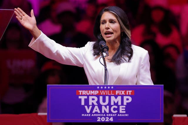 <p>Former Hawaii congresswoman Tulsi Gabbard will be Donald Trump’s pick for Director of National Intelligence </p>