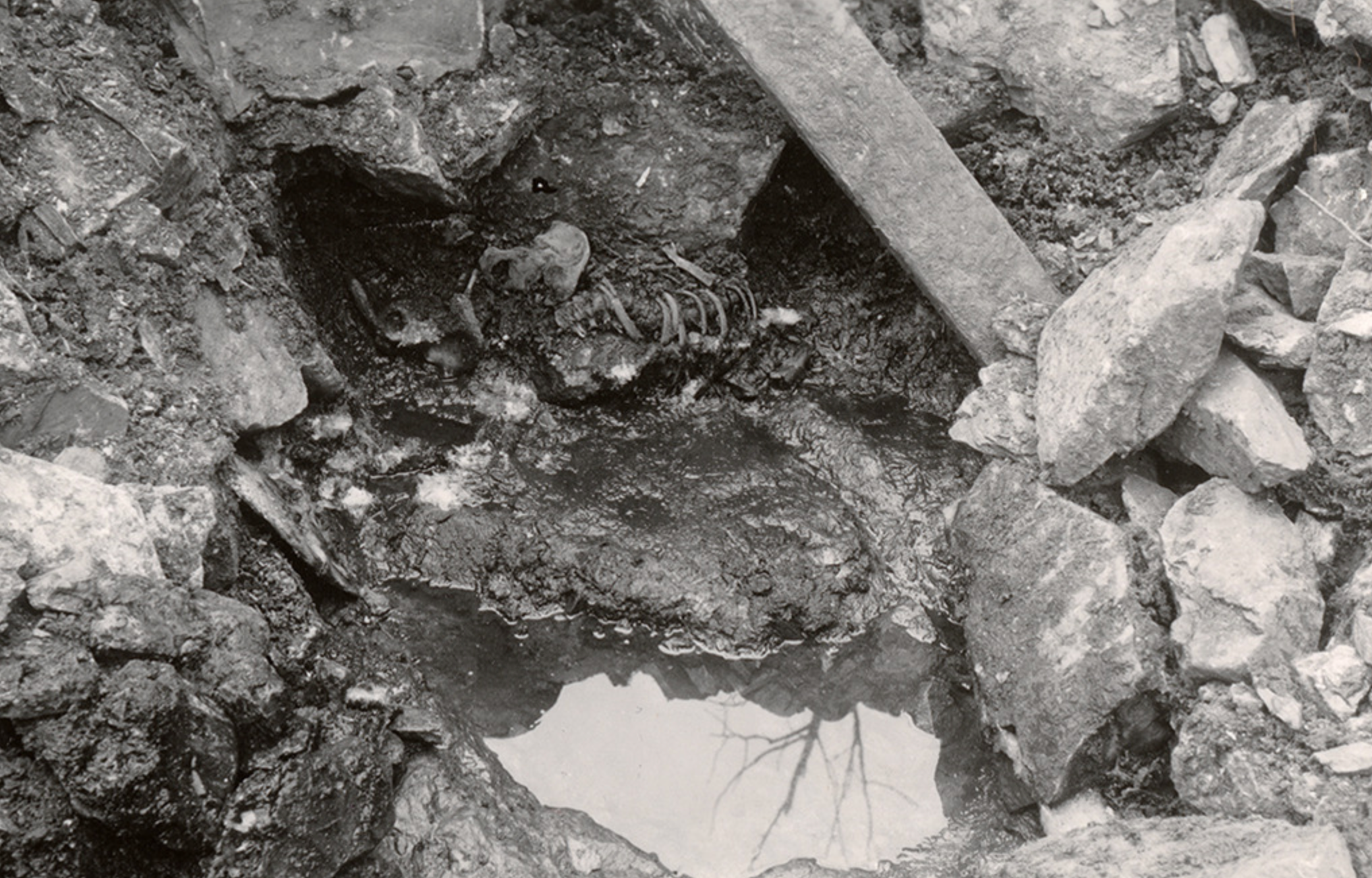 Skeletal remains during 1938 excavation