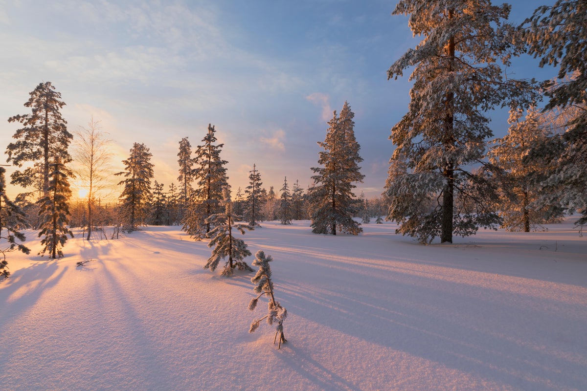Tui launch day trip to Finland’s Lapland despite climate concerns