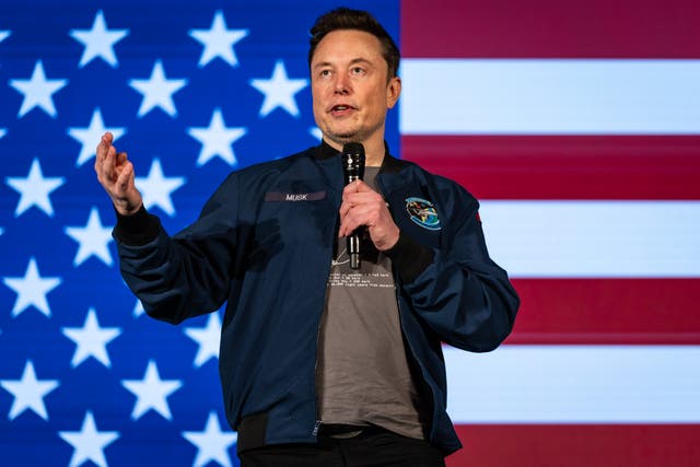 <p>Musk spoke at the town hall in Lancaster, Pennsylvania, over the weekend where he offered up his ‘crazy’ immigration idea </p>