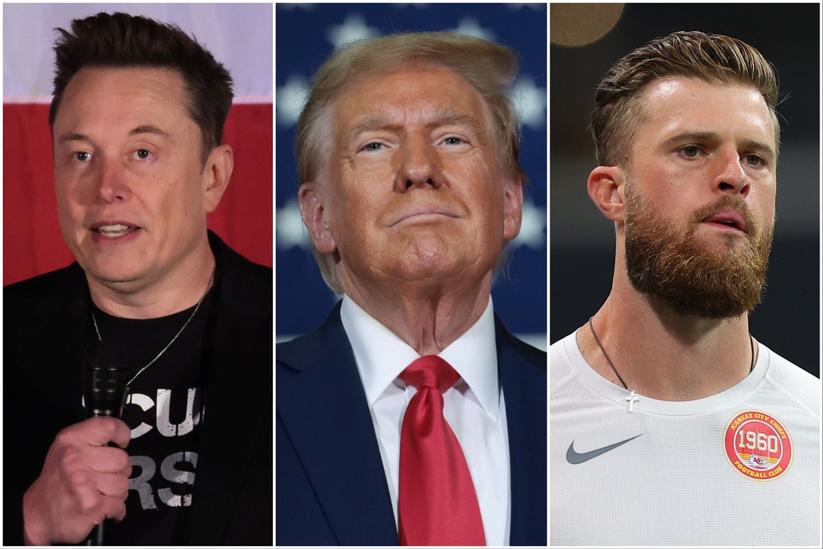 All the celebrities who have endorsed Trump for president, from Elon ...