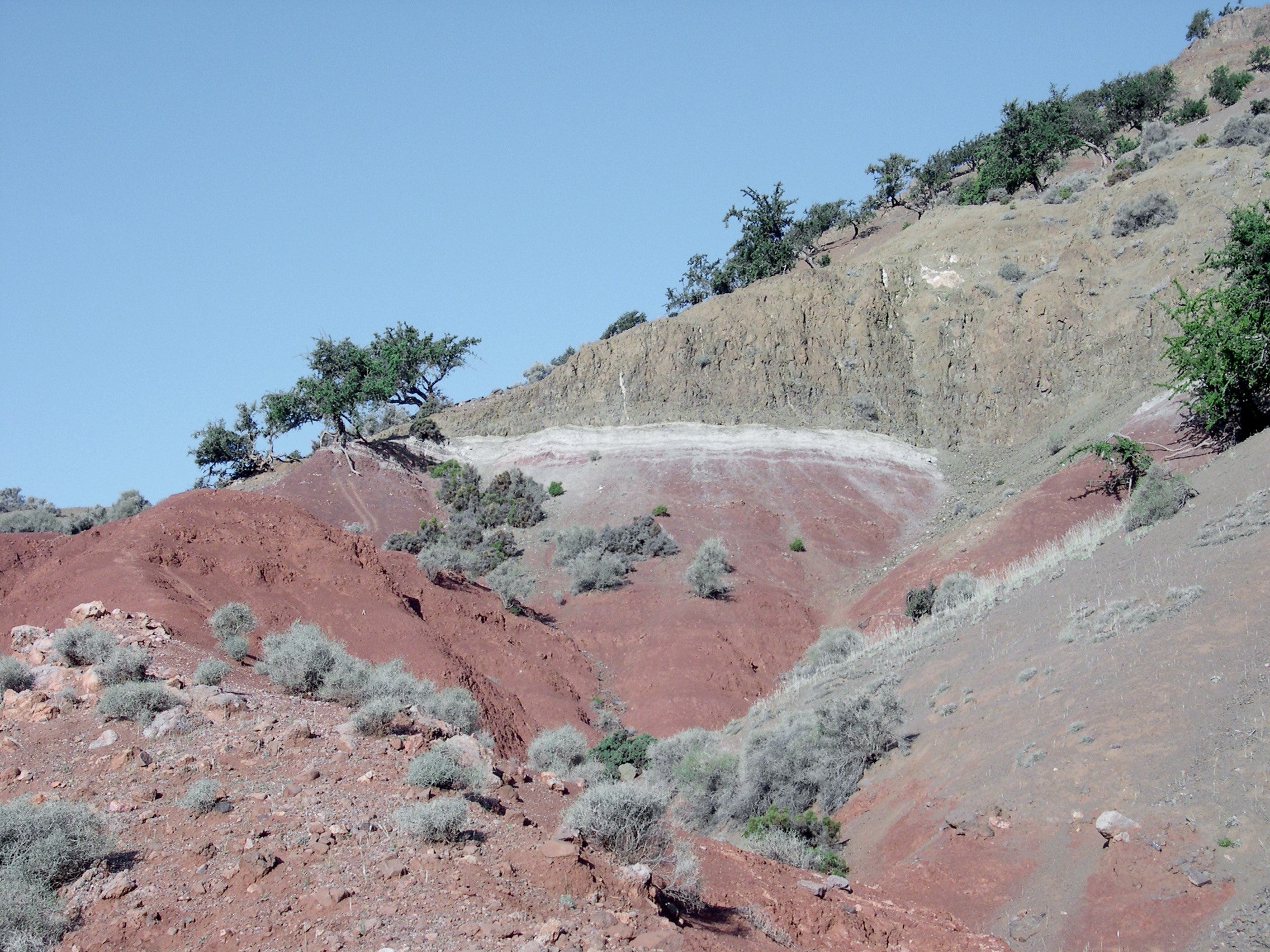 Red sediments in Morocco are associated with the End Triassic Extinction event that wiped out three-quarters of marine and terrestrial life more than 200 million years ago. Now, researchers at Columbia say the causes of the event are different than previously believed.