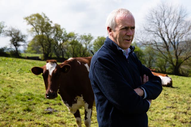 <p>Patrick Holden poses with some of his 90-strong herd of cows</p>