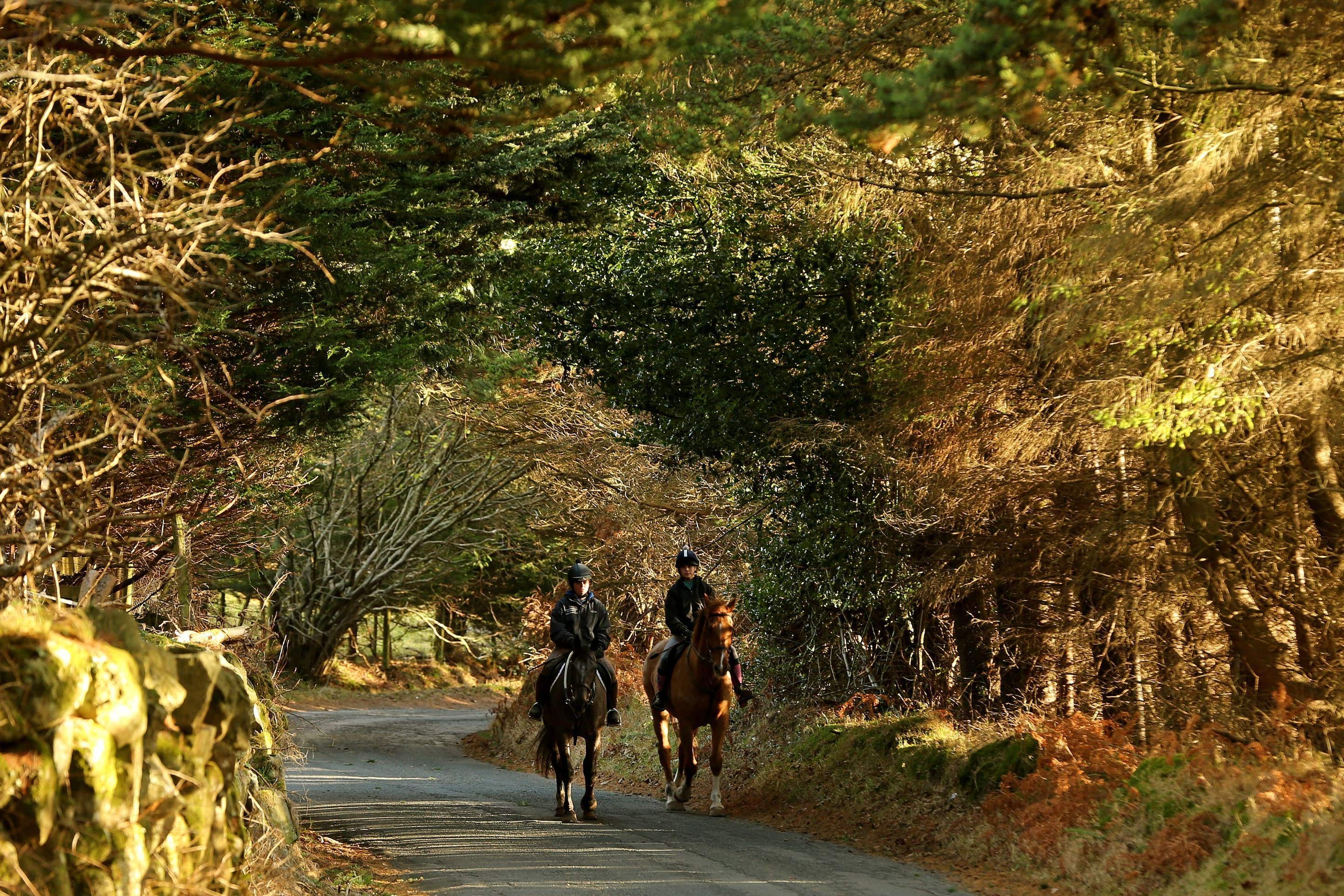 Horse riders enjoy mild weather (Niall Carson/PA)