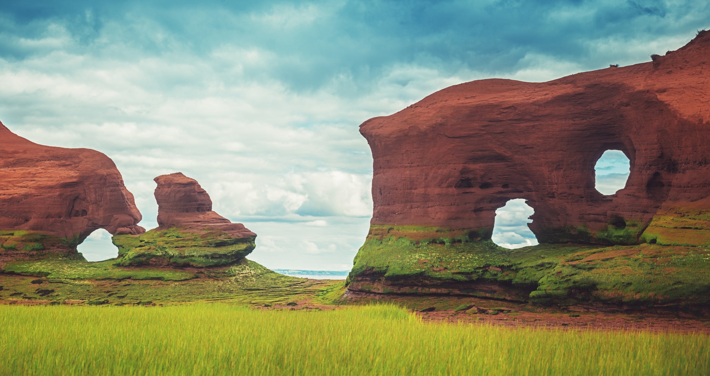 Sandstones line the shoreline of Nova Scotia’s Bay of Fundy. The new study used data from the region, which is in the North American part of the CAMP lava flows.