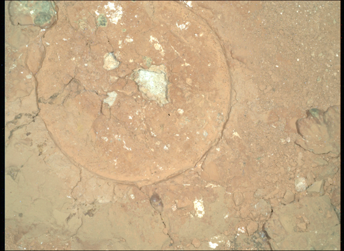 Nasa spots shocking ‘green spots’ on Mars