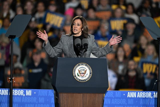 <p>Vice President Kamala Harris addresses the crowd at her campaign rally at Burns Park in Ann Arbor, Michigan on October 28. A vulgar billboard with a fake photo of Harris posted alongside an Ohio highway has been taken down </p>