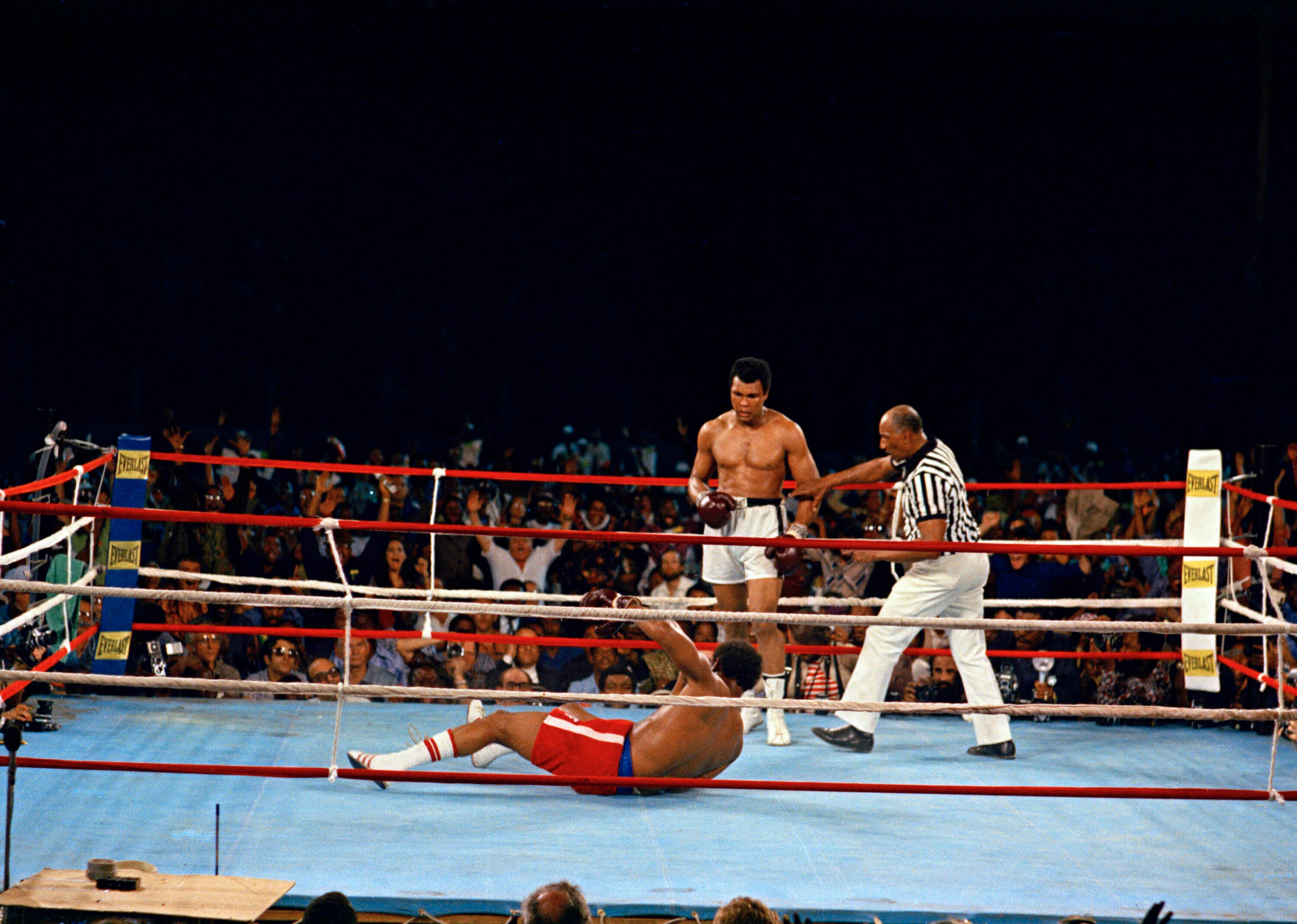 Boxing Rumble no aniversário da selva