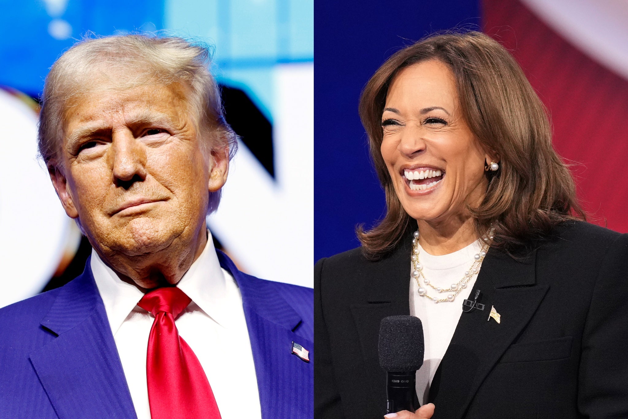 Lichtman stands by his prediction that Harris will win the election