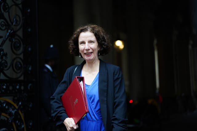 Foreign Office minister Anneliese Dodds urged Israel to drop the ban (Ben Whitley/PA)