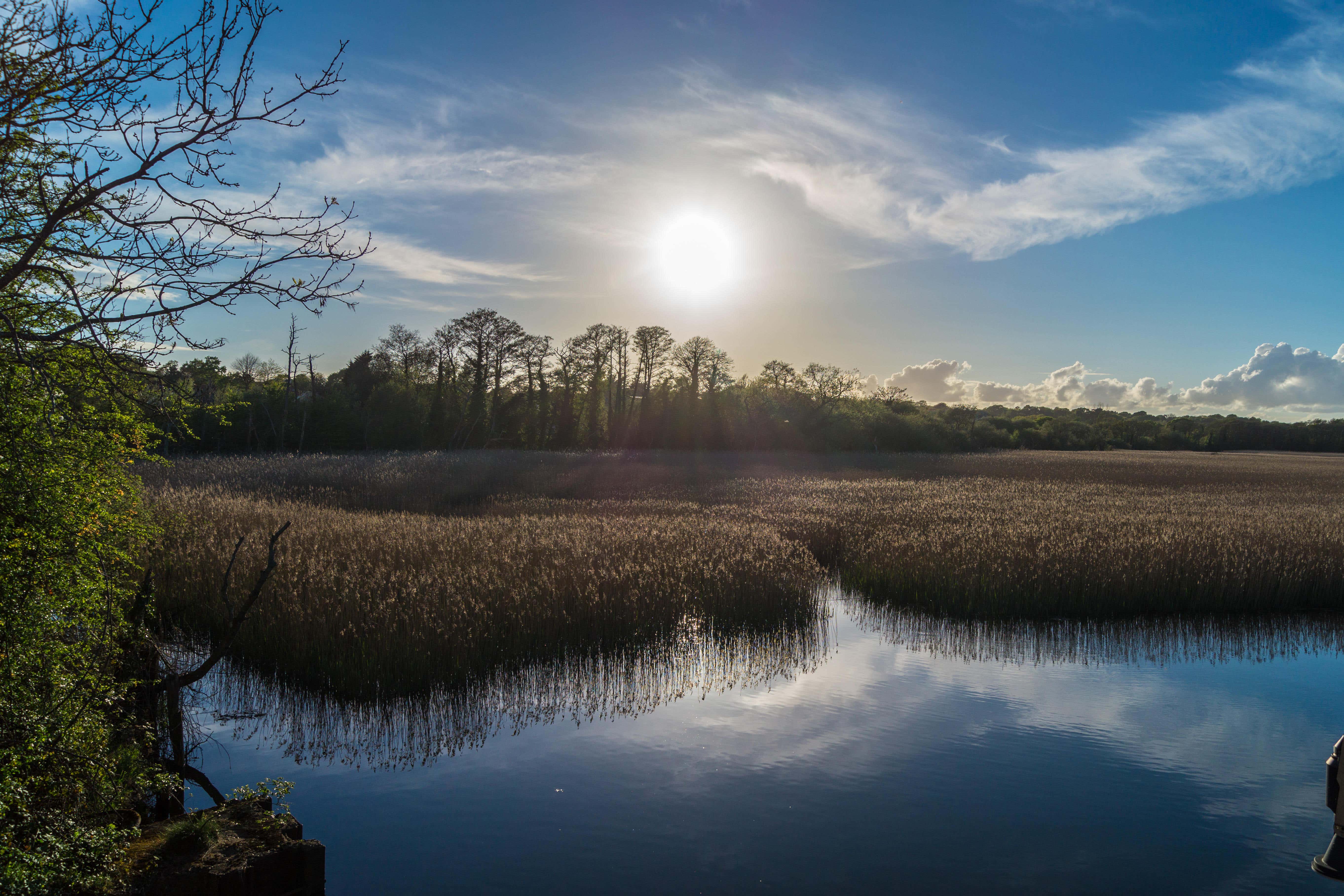 Only 7% of England’s land is protected for nature, the Government says (Alamy/PA)