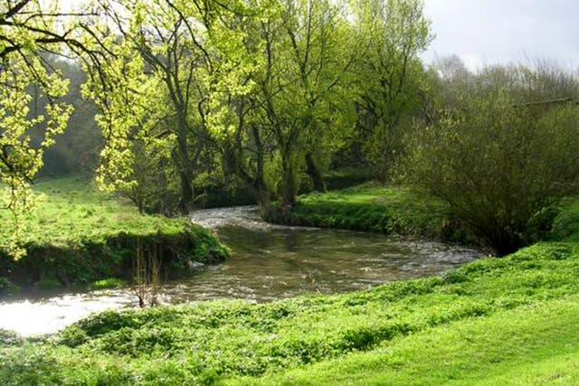 <p>Thousands of protesters were expected on the March for Clean Water</p>