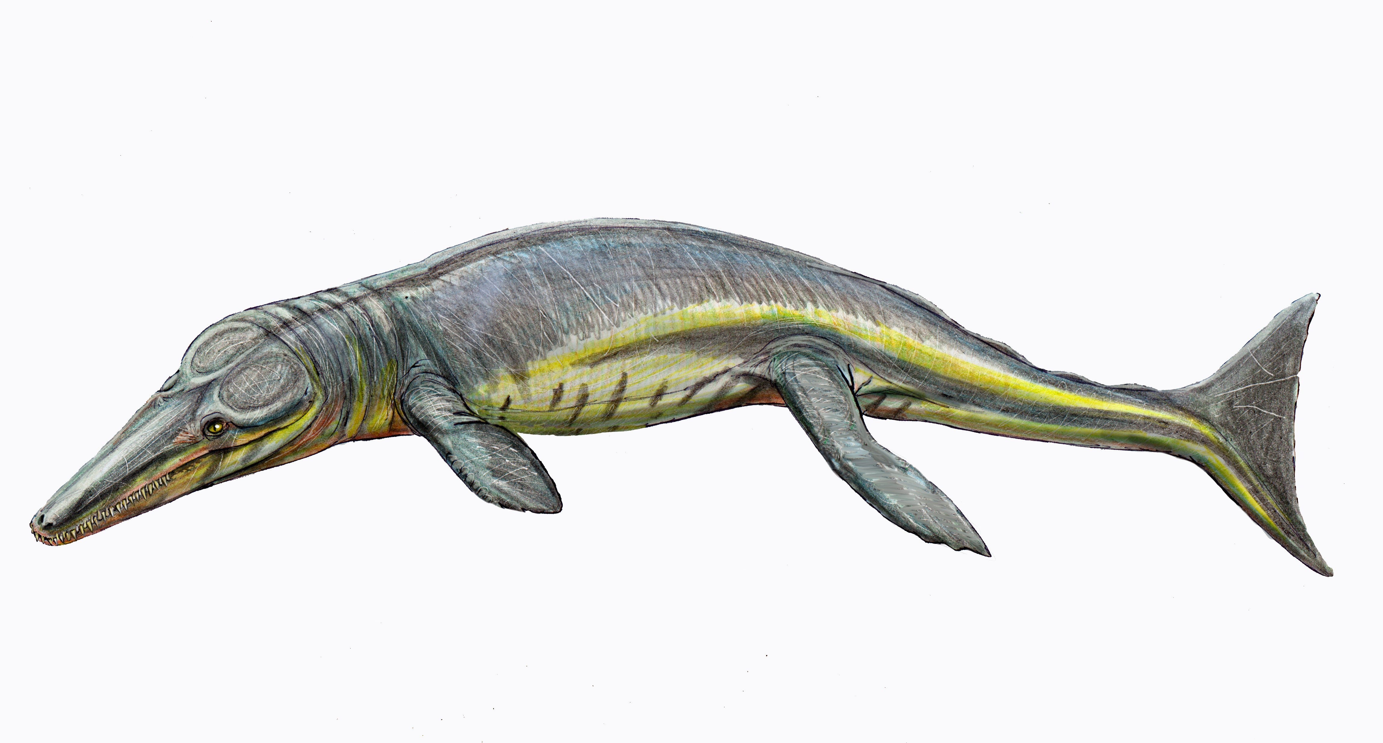 An artists’ impression of Tyrannoneustes