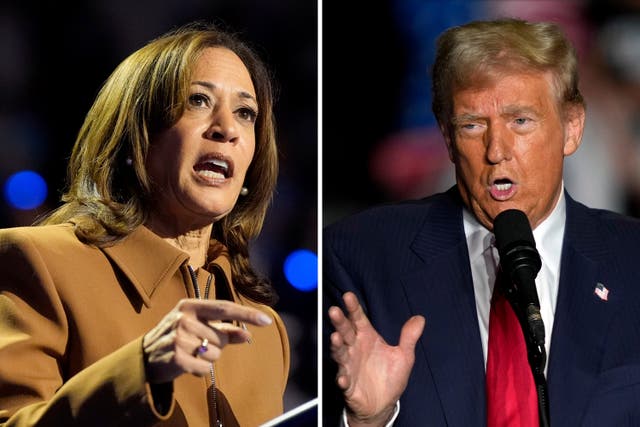 <p>Harris is leading Trump amongst early voters, polls show </p>