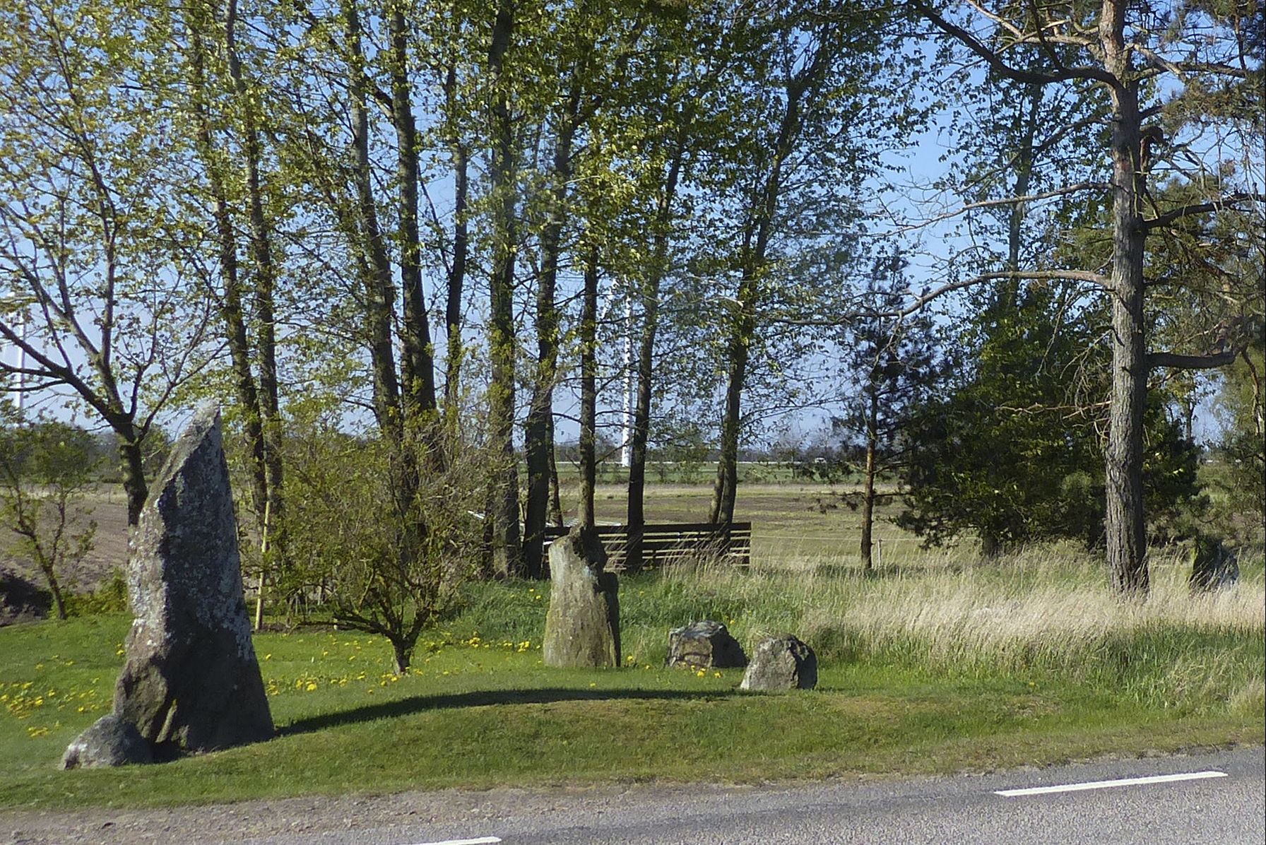 Ancient Viking Age burial site unearthed in Sweden