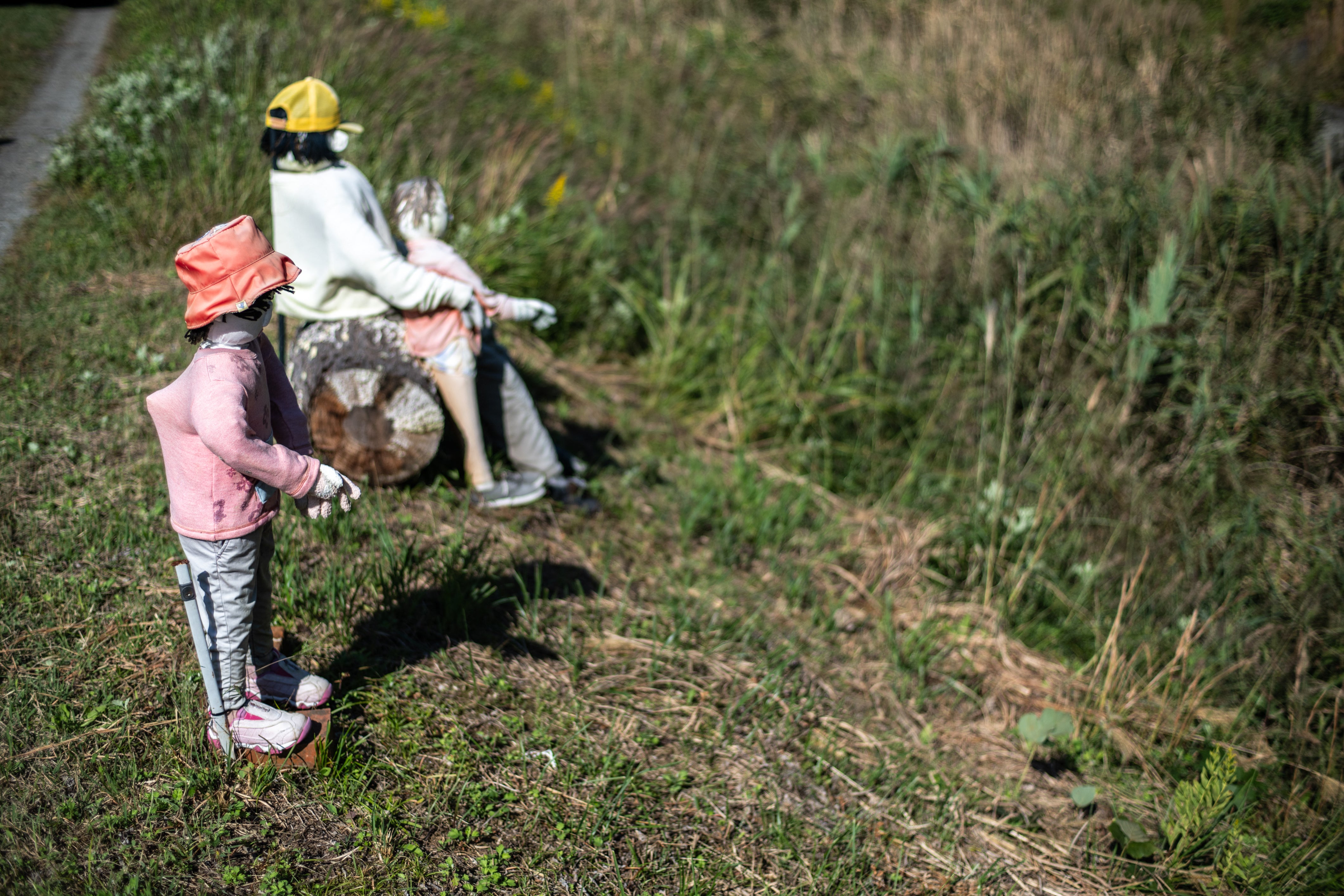 This photo taken on 21 October 2024 shows puppets in the village of Ichinono, one of the ‘puppet villages’ in Japan