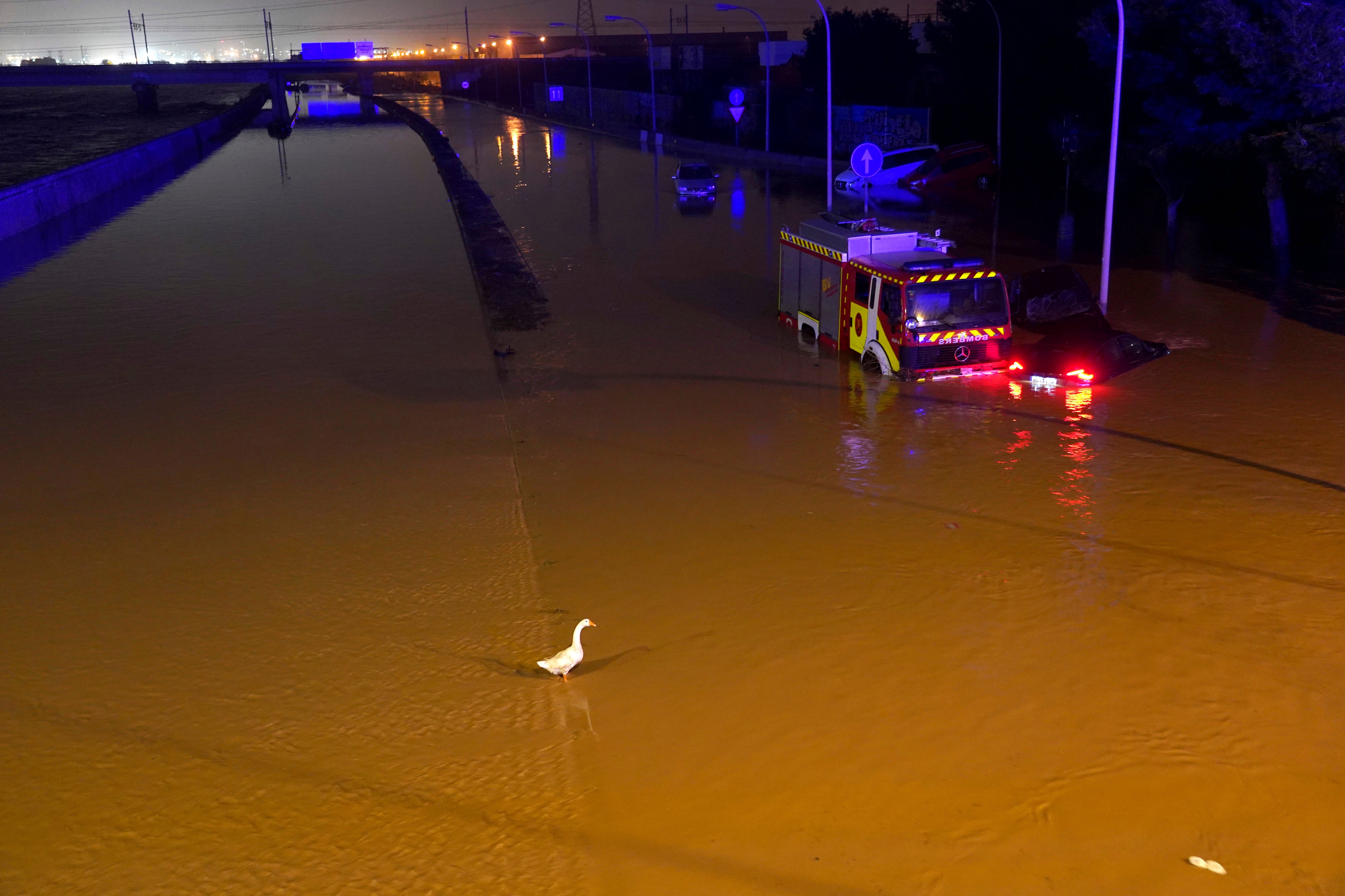 Rescuers reach a stranded vehicle in the road