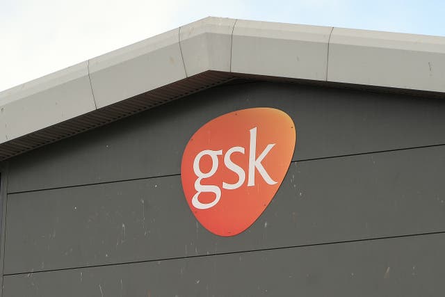 Shares in GSK fell after it cut its outlook for its annual vaccines sales (PA)