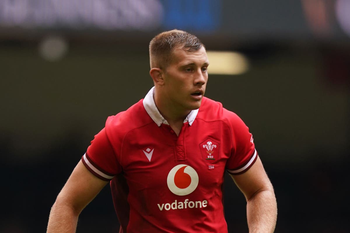 Ben Carter ruled out of Wales’ autumn internationals with knee injury