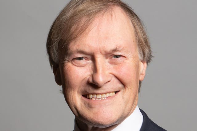 Sir David Amess was stabbed to death during a constituency surgery (Chris McAndrew/PA)