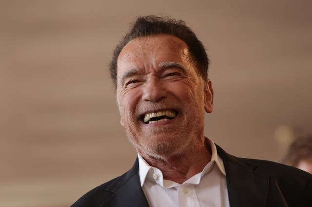 <p>Arnold Schwarzenegger has opposed Donald Trump since 2016</p>