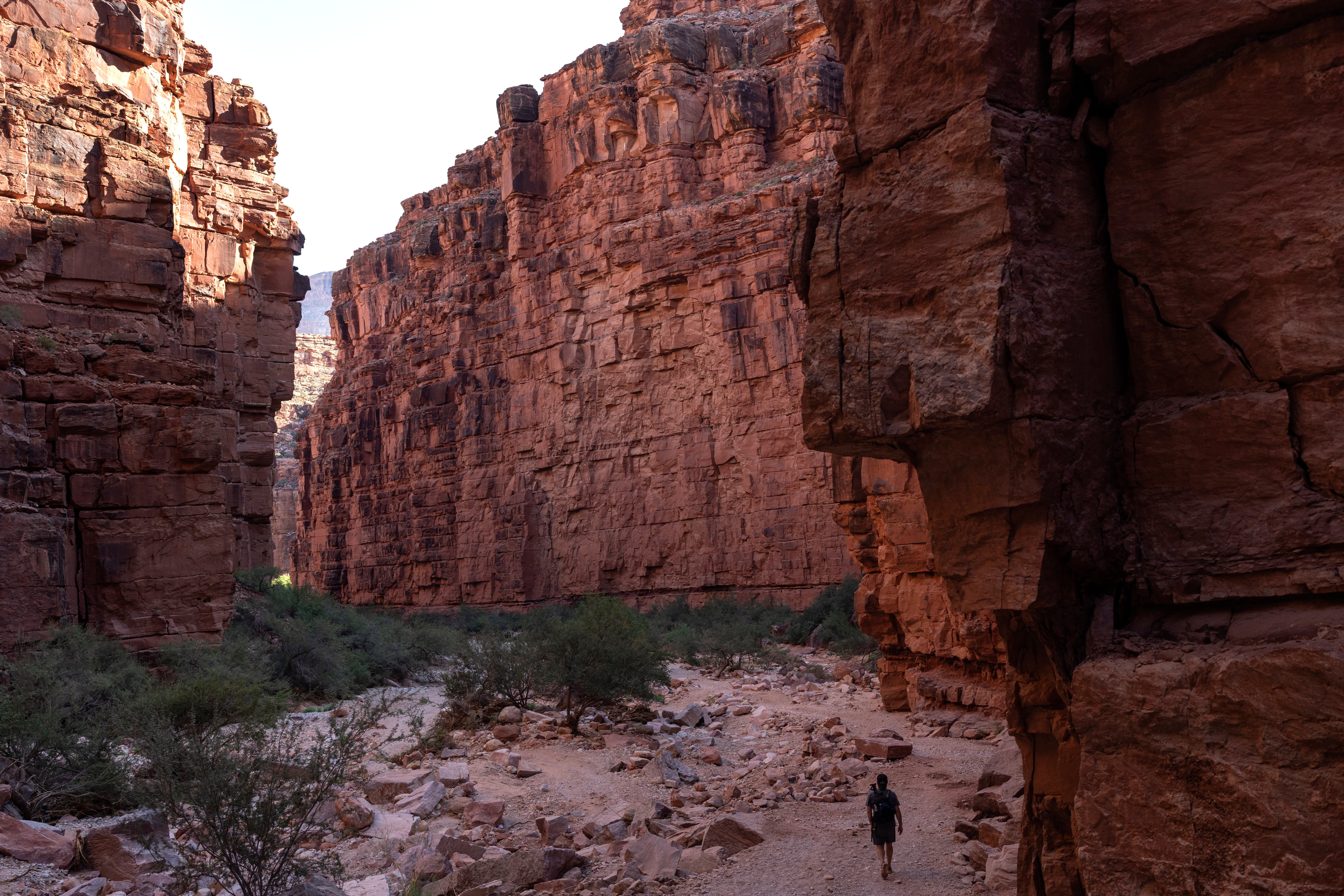 Election 2024 Arizona Native American Vote