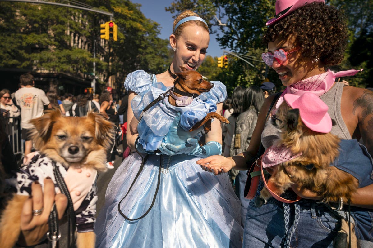 No trick! Halloween temperatures soar above normal in Northeast