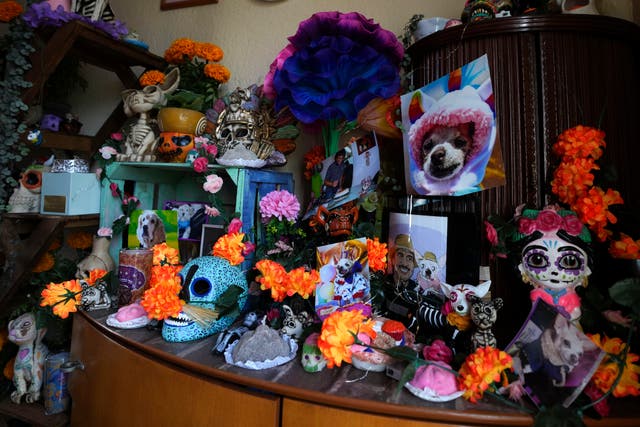 MÉXICO-DÍA DE MUERTOS MASCOTAS