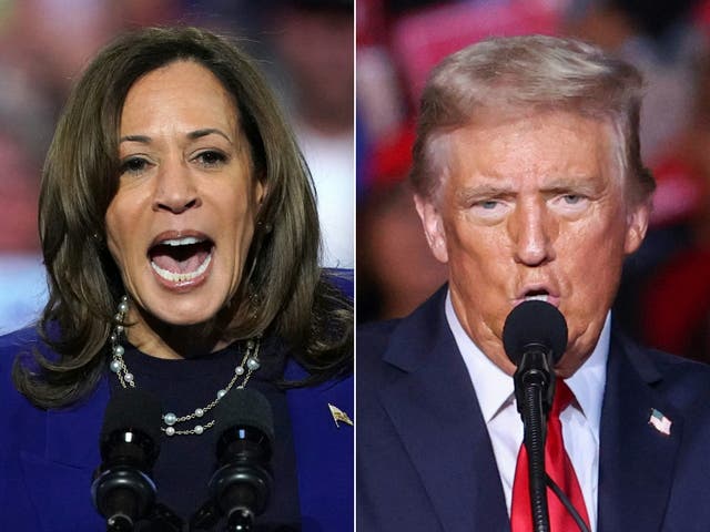 <p>Kamala Harris and Donald Trump </p>