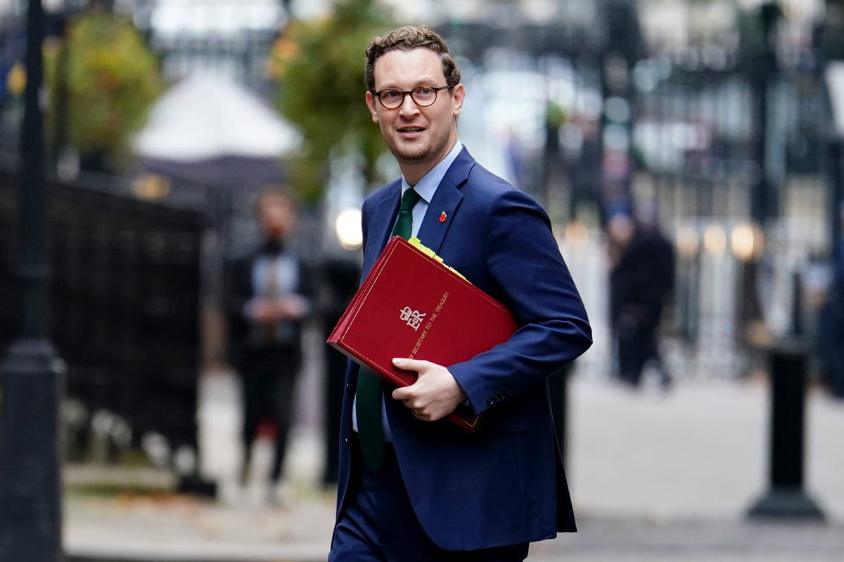 Treasury minister defends £950-a-day pay of new value for money tsar