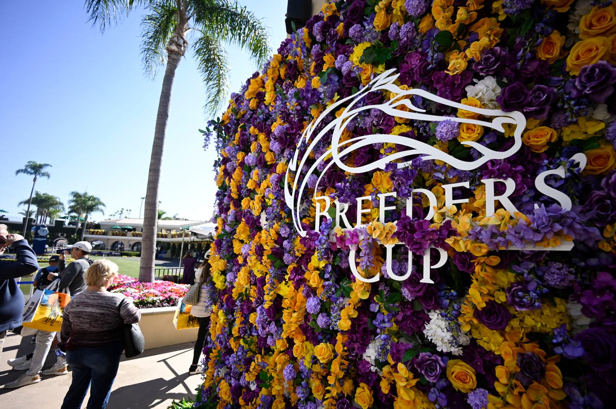 Breeders’ Cup tips: Porta Fortuna, Awesome Result among betting favourites in 2024