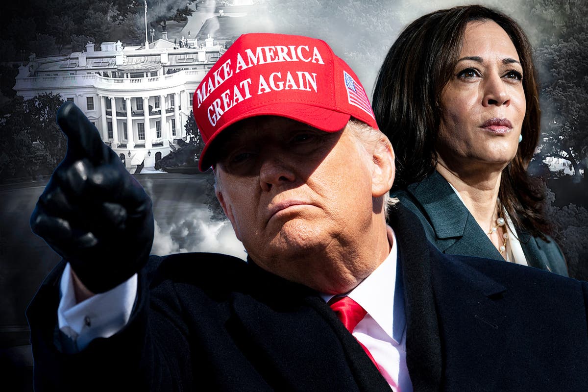 https://static.independent.co.uk/2024/11/01/13/trump-harris-white-house-comp-copy.jpg?quality=75&width=1200&auto=webp