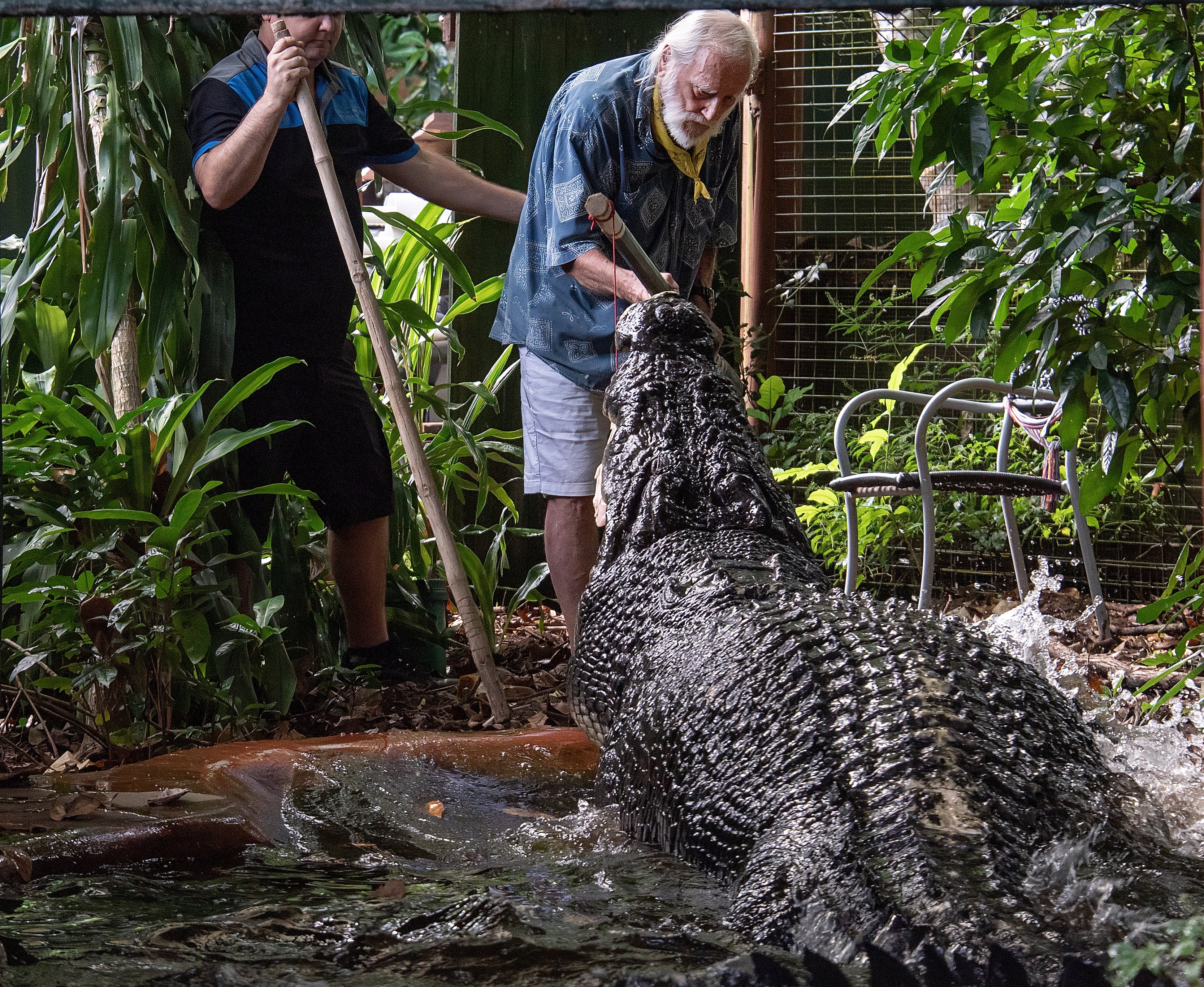 Keepers estimate that Cassius was born in 1903