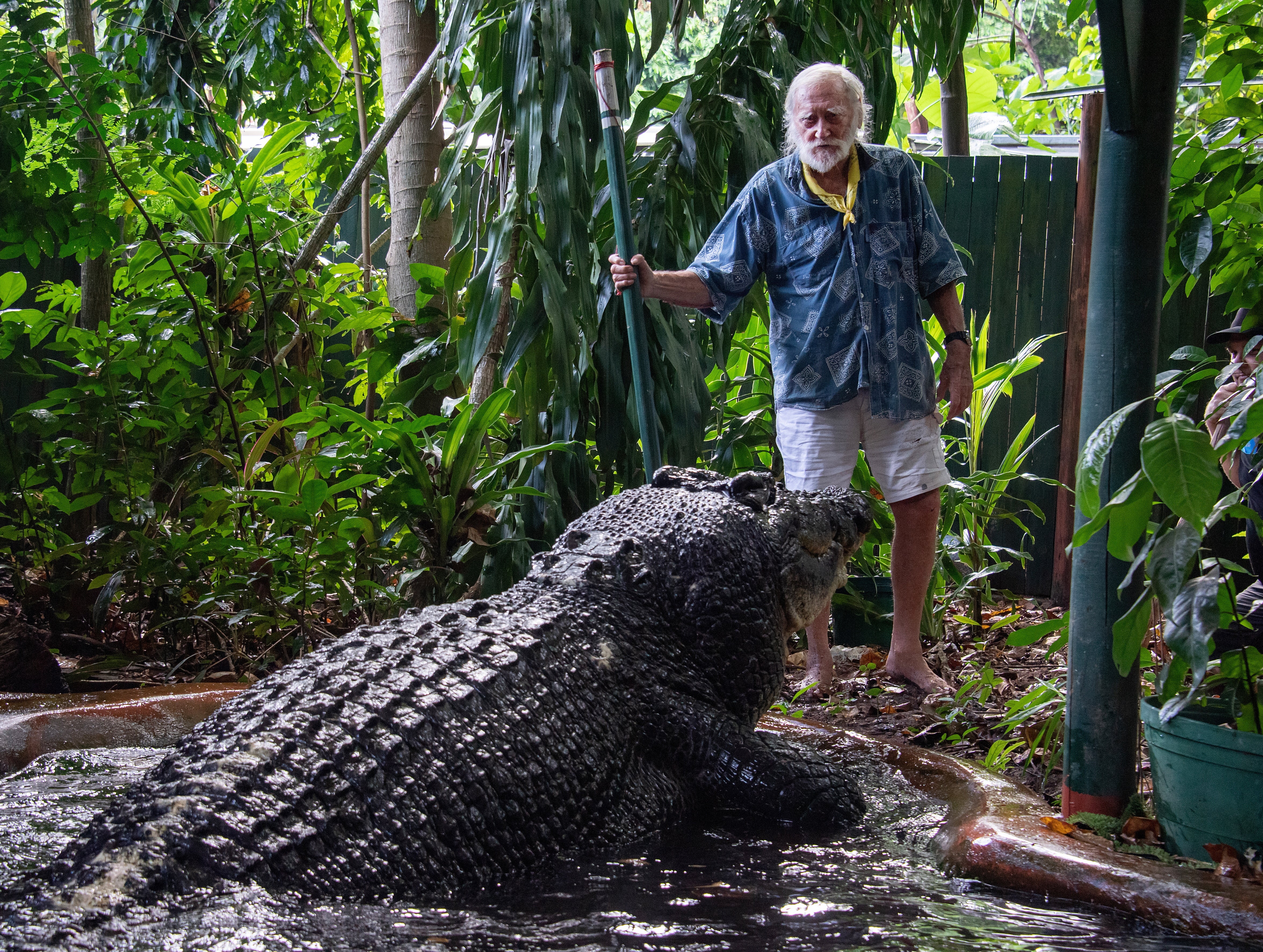 His handler says Cassius had a lovely personality but that one should never trust a crocodile