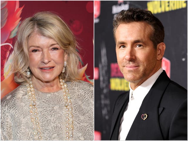 <p>Neighbours Martha Stewart and Ryan Reynolds</p>