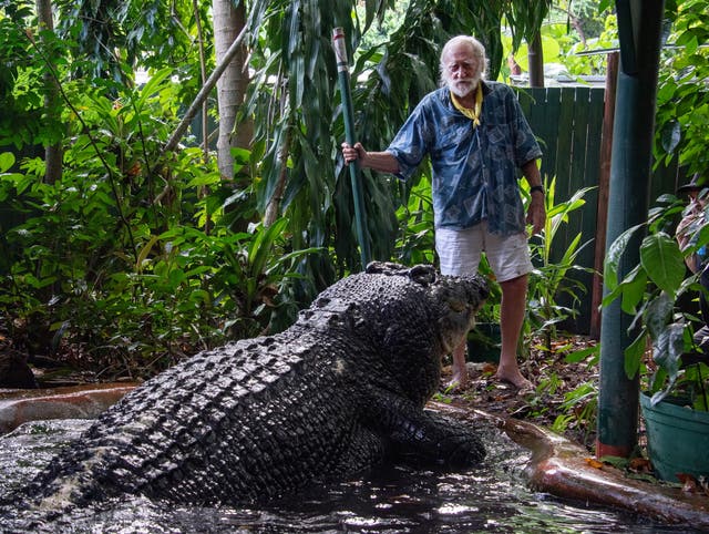 <p>Cassius, the Guinness Book of Records largest crocodile in captivity, died at Green Island’s Marineland Melanesia on 01 November</p>