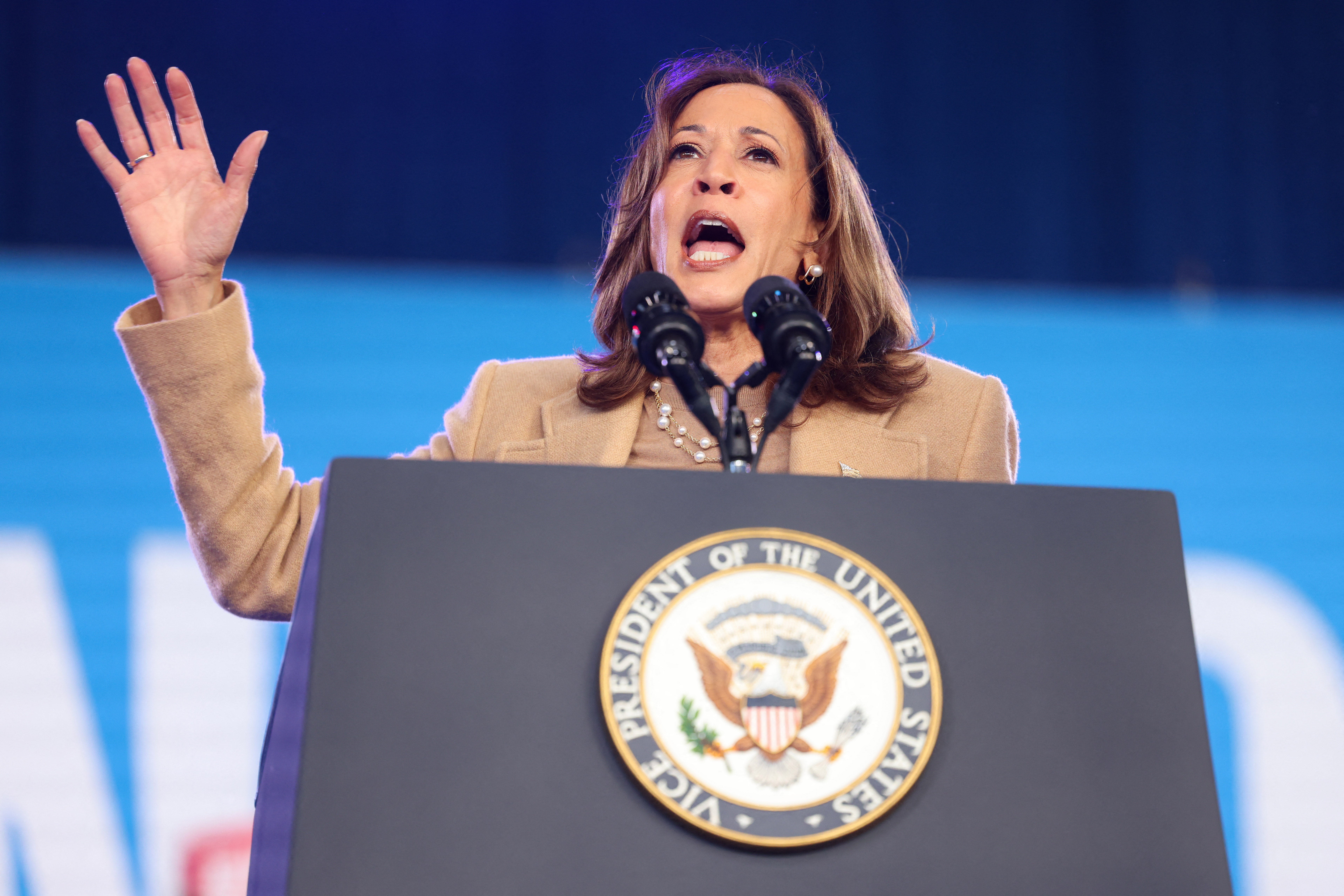 US Vice President and Democratic presidential candidate Kamala Harris speaks during a campaign rally in Charlotte, North Carolina, on November 2, 2024