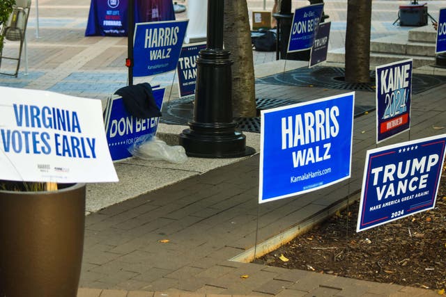 It may take several days before it is clear whether Kamala Harris or Donald Trump will be the next US president (Alan Kotok/Alamy)