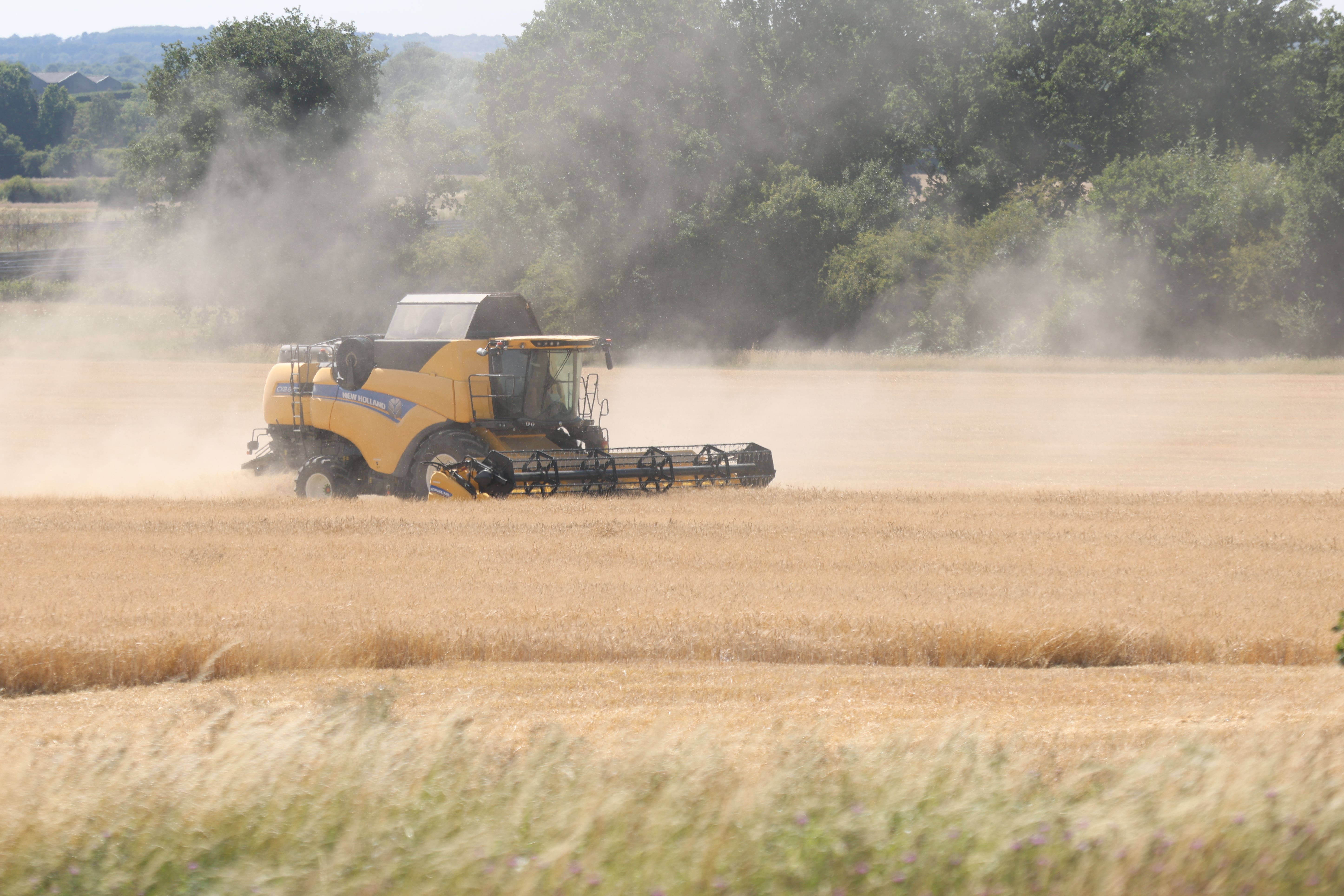 Rachel Reeves has faced a backlash from farmers