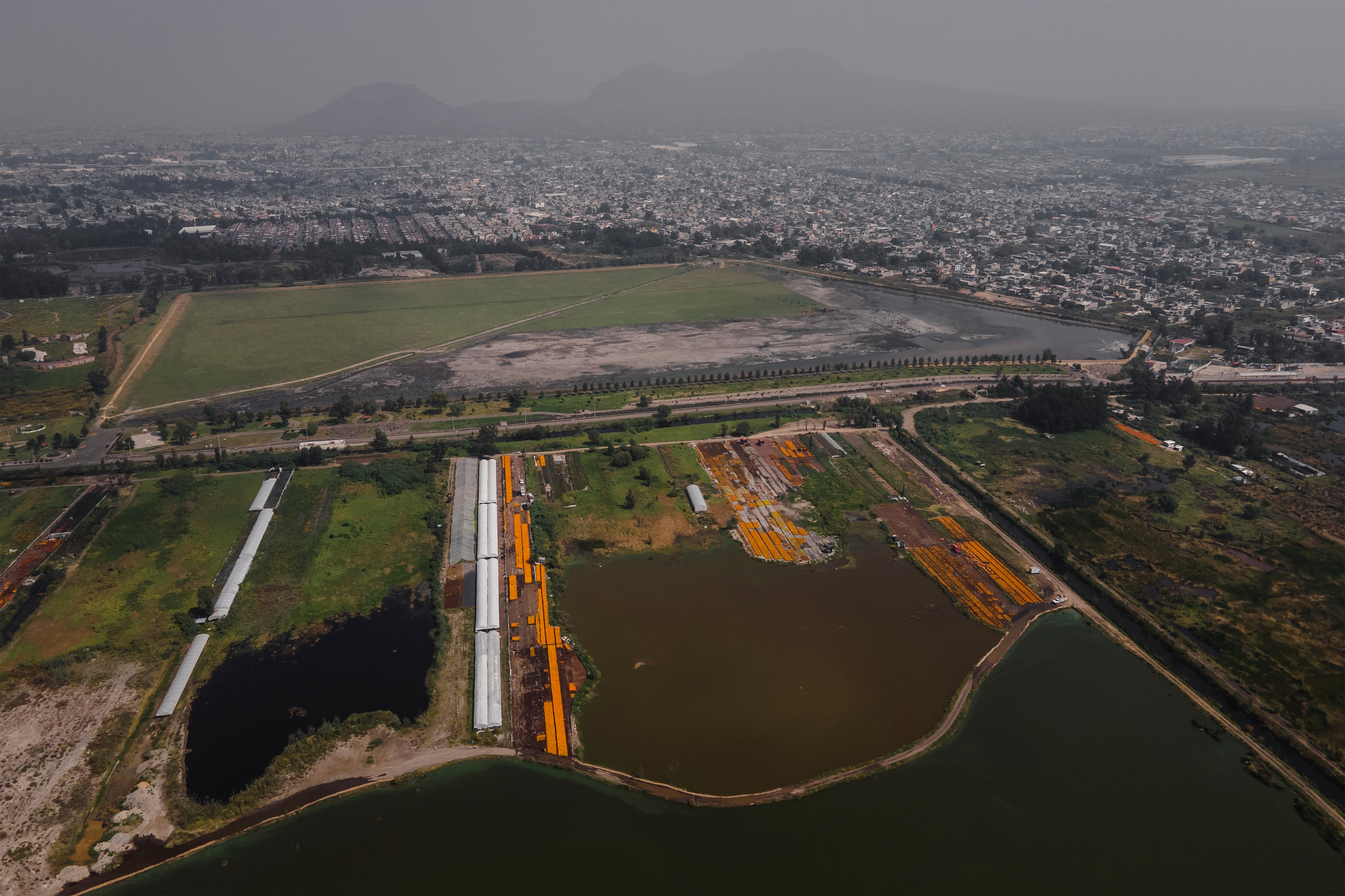 Floating gardens with Mexican marigold flowers known as cempasuchil grow in the Xochimilco borough of Mexico City