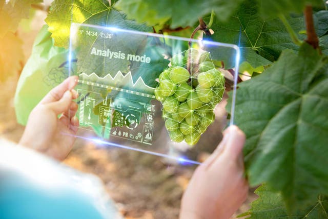 AI is set to provide many benefits to gardeners (Alamy/PA)