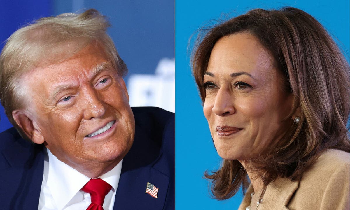 Trump vs Harris: Candidates make final appeals to swing state voters on election eve