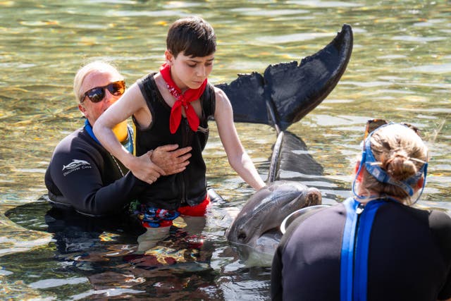 Logan Pipe-Edwards, 14, with a dolphin during the Dreamflight visit to Discovery Cove in Orlando (James Manning/PA)