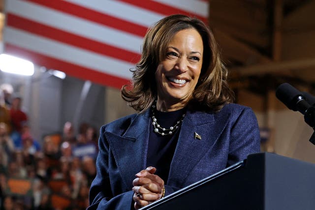 <p>US Vice President and Democratic presidential nominee Kamala Harris smiles during a campaign rally at Michigan State University's Jenison Field House in East Lansing, Michigan, on November 3, 2024</p>