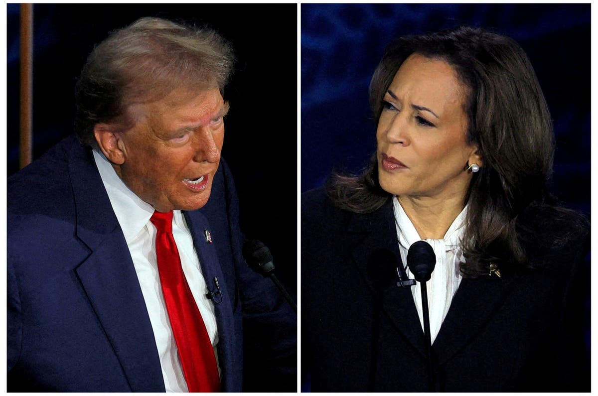 Just how accurate are the latest Trump and Harris polls? The Independent